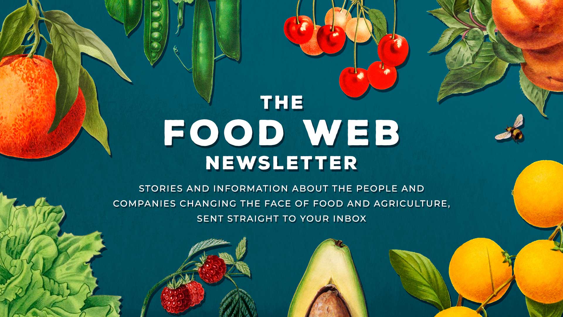Food-Web-homepage-slide-sample