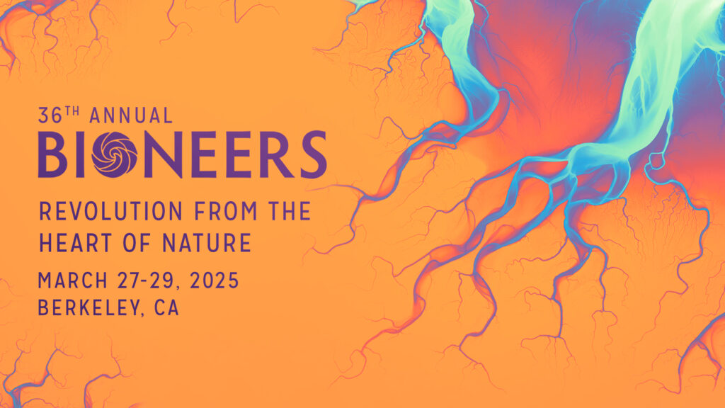 Bioneers 2025 Conference art by Daniel Coe