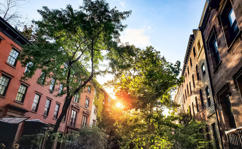 Urban Forests: A Nature-Based Solution to Climate Breakdown and Inequality