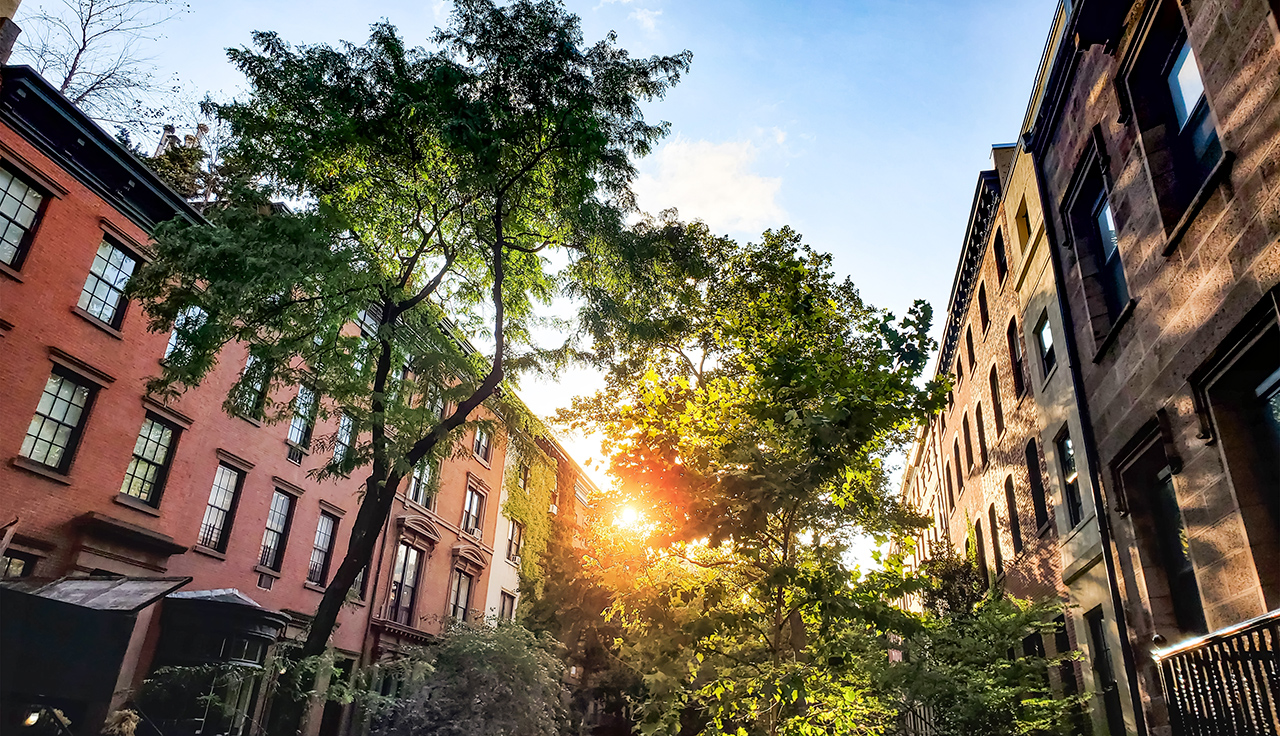 Urban Forests: A Nature-Based Solution to Climate Breakdown and Inequality