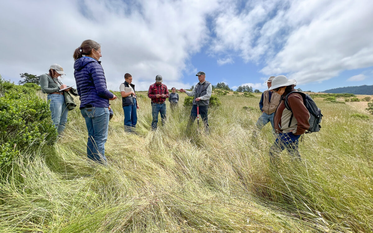How to Become a Land Doctor: An Interview with Rangeland Conservation Expert Wendell Gilgert