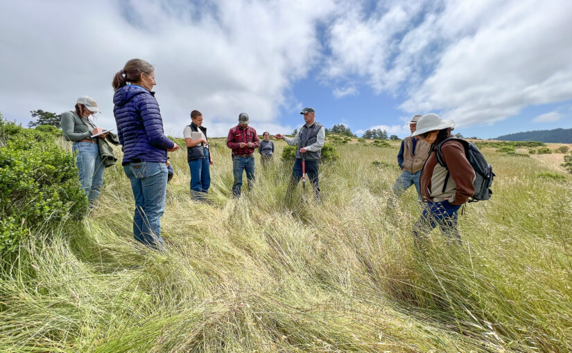 How to Become a Land Doctor: An Interview with Rangeland Conservation Expert Wendell Gilgert
