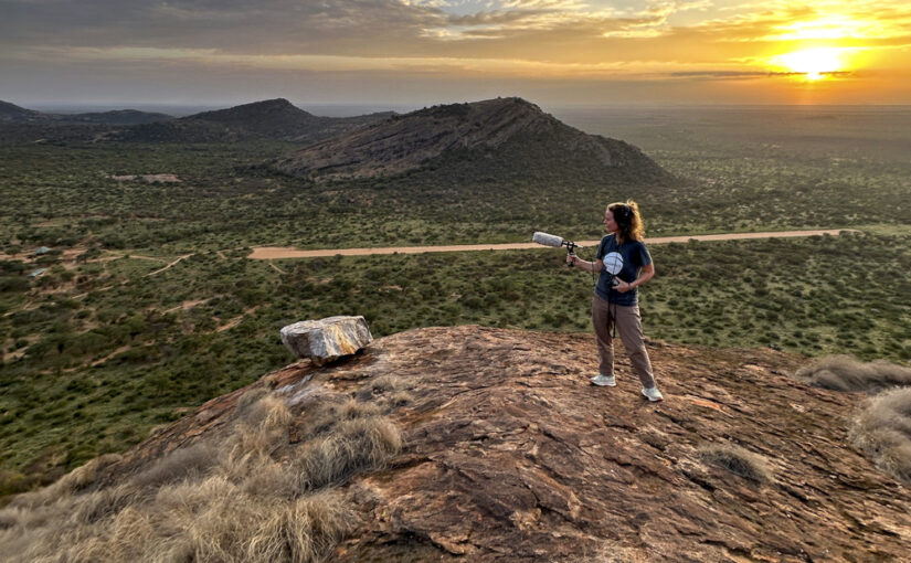 Hark: Rediscovering the Lost Symphony of the Natural World