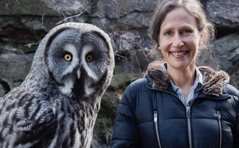 Seeing the World Like an Owl: Jennifer Ackerman on Their Unique Way of Knowing 