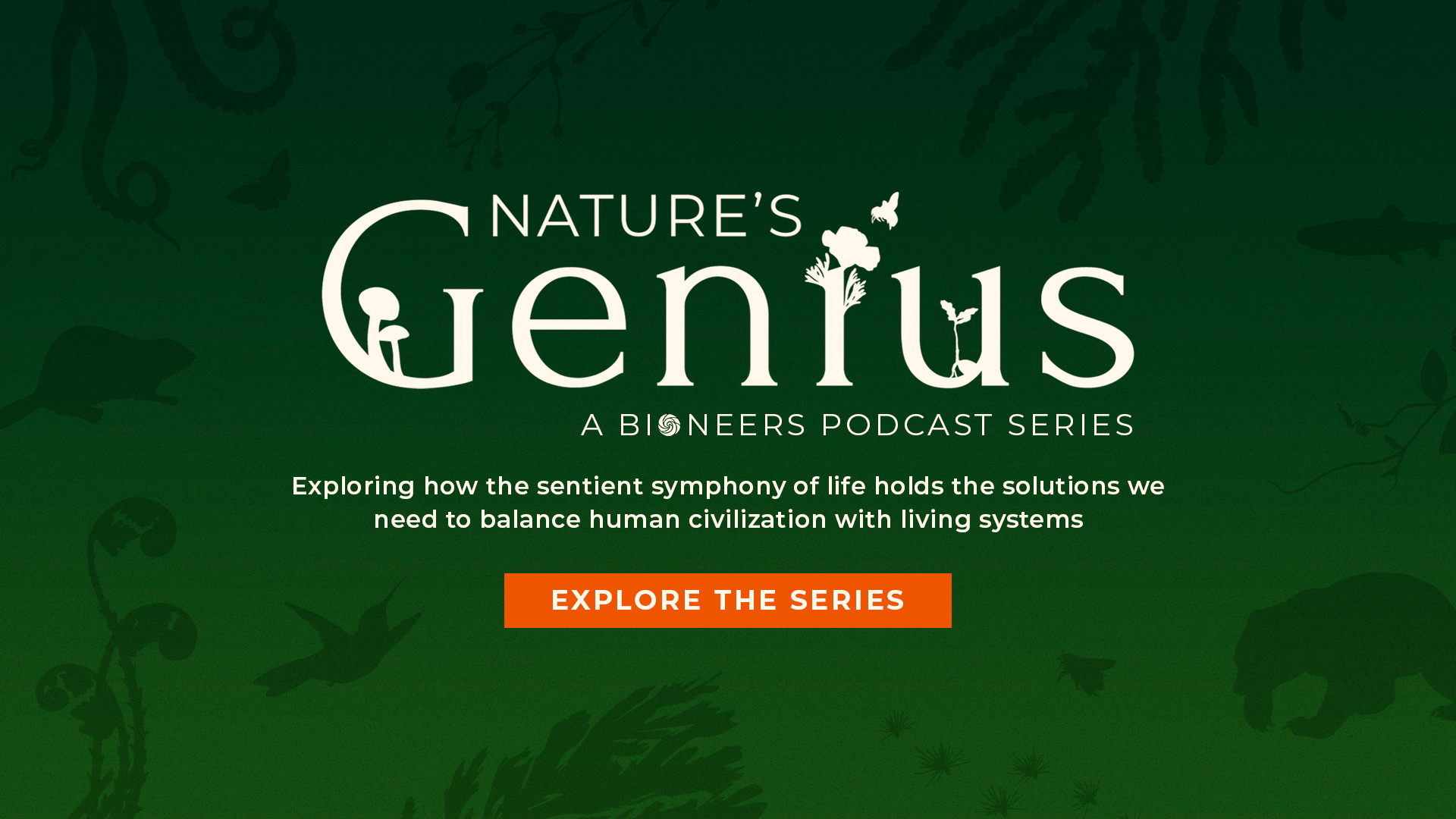 Nature's-Genius-homepage-slide-draft
