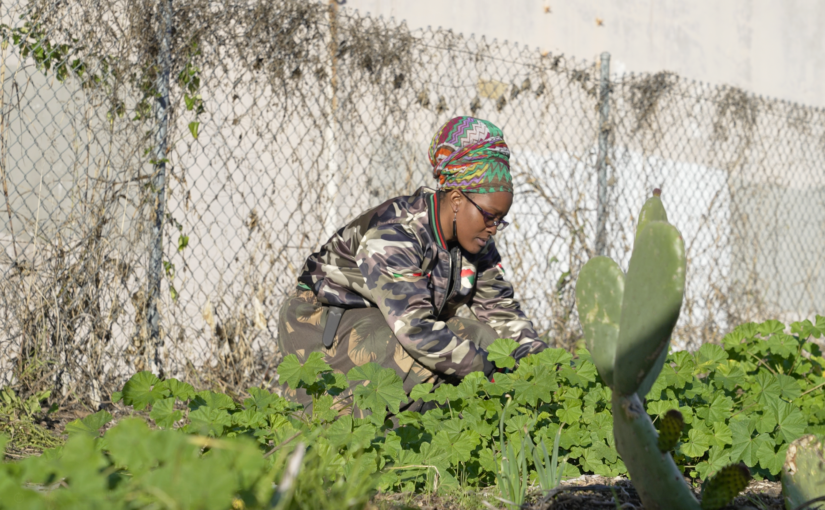 From Soil to Soul
