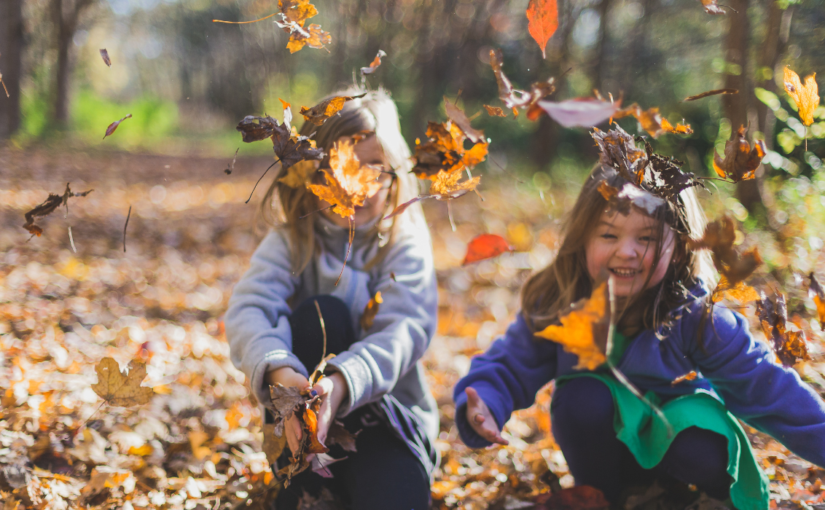 Schools that Heal: How School Environments Shape Mental, Social, and Physical Health