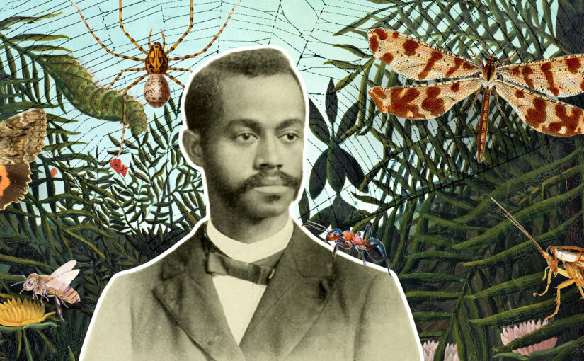 Charles Henry Turner’s insights into animal behavior were a century ahead of their time