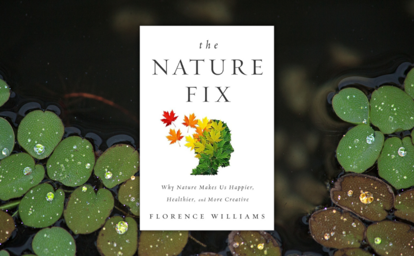 ‘The Nature Fix’: What Japanese Forest Bathing Reveals About Well-Being