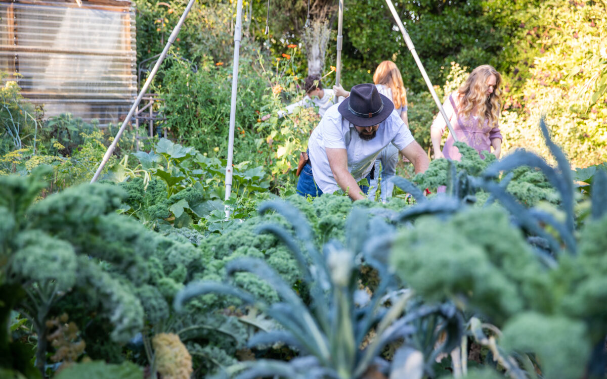 Regenerative Landscaper: An Interview with Permaculture Designer Erik Ohlsen