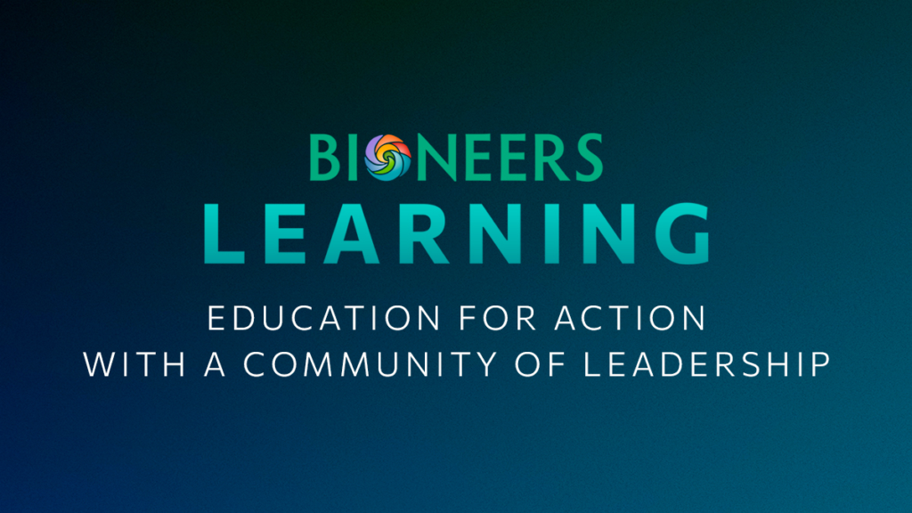 Nature-Based Solutions: A Cornerstone of Climate Action - Bioneers