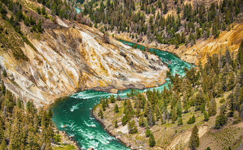 Nature-Based Solutions: A Cornerstone of Climate Action