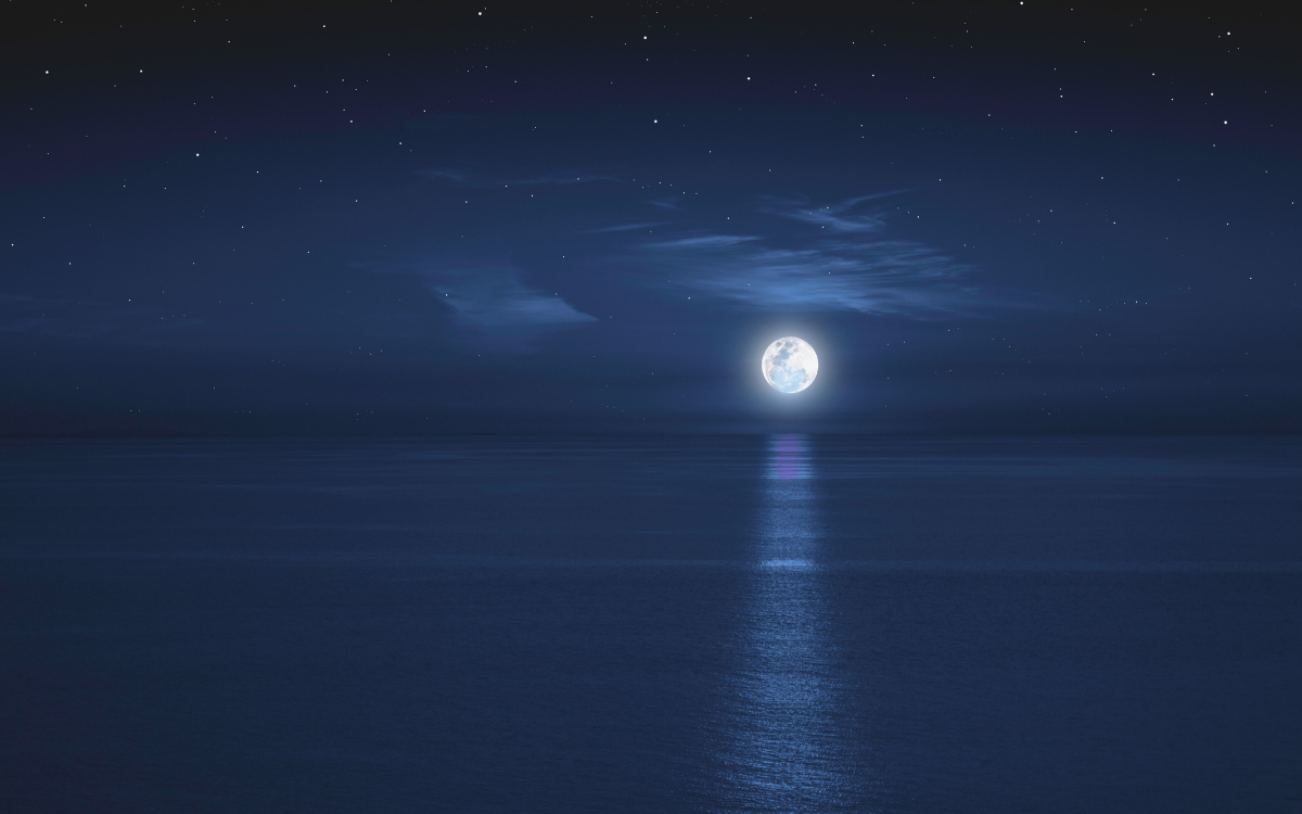 The Lunar Clock Beneath the Waves: How Marine Life Runs on Moonlight
