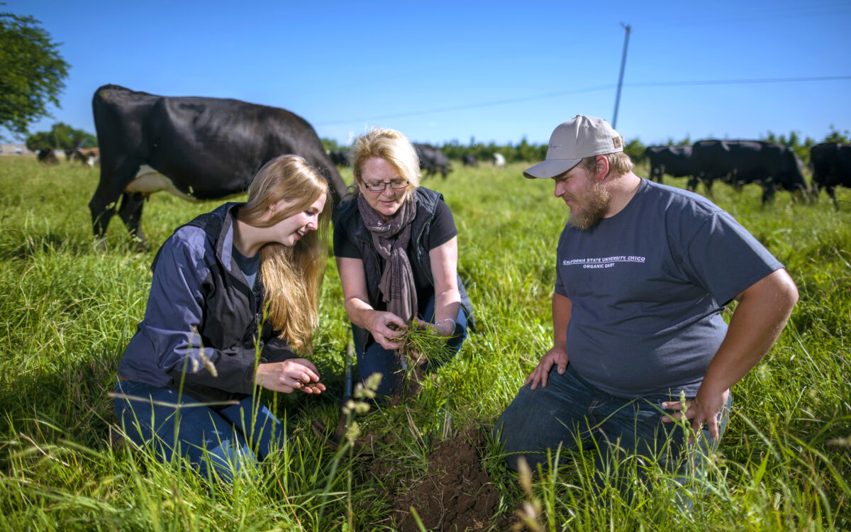 Scaling Up Regenerative Agriculture by Changing the Culture of Farming