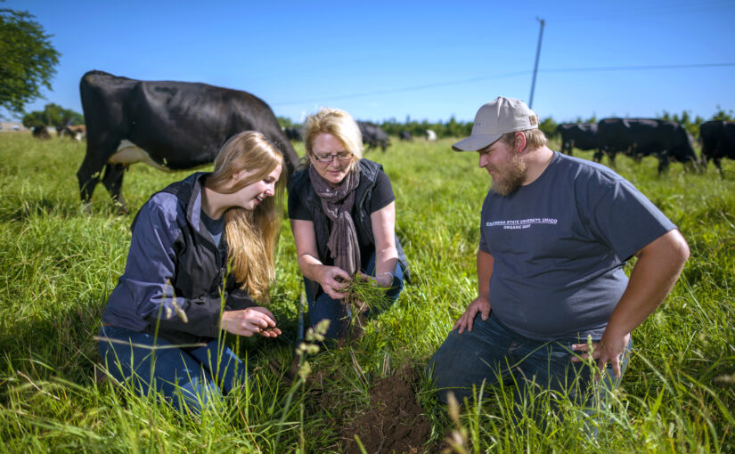 Scaling Up Regenerative Agriculture by Changing the Culture of Farming