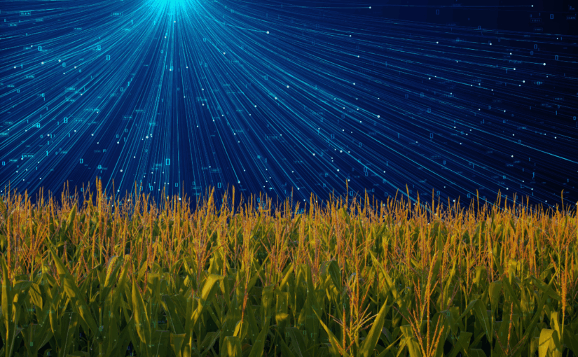 Farming in the Dark: The Black Box of AI and the Erosion of Food Sovereignty
