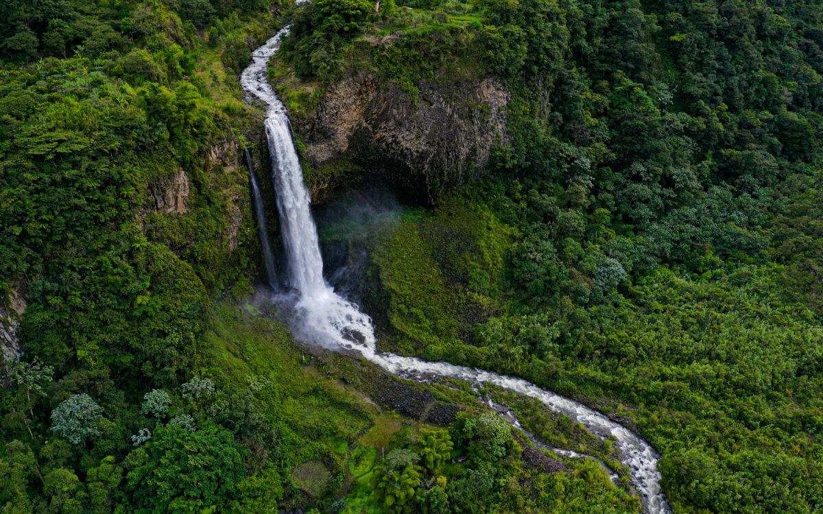 Swimming the Río Los Cedros: A Scene from ‘Is a River Alive?’