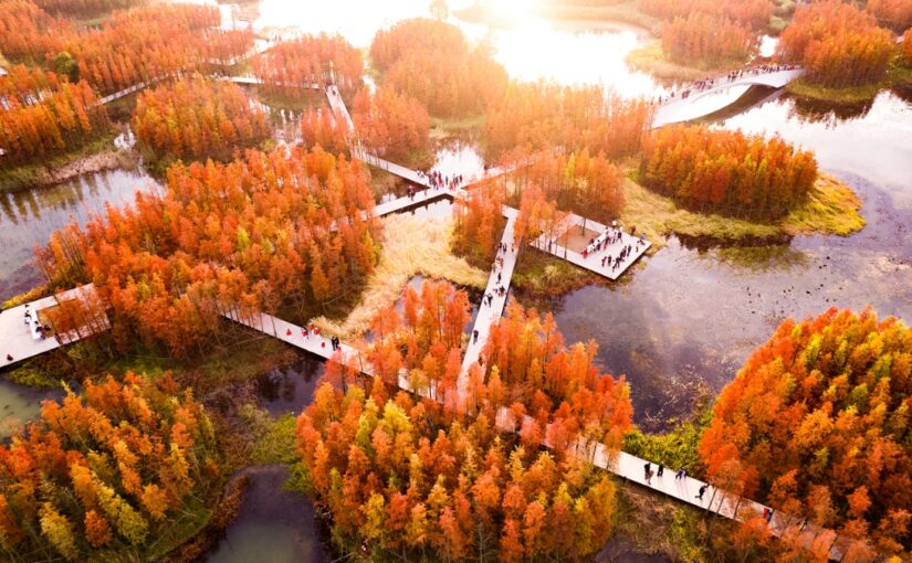 Bioneers Newsletter 9.25.25 — Will China lead or lag the green transition?