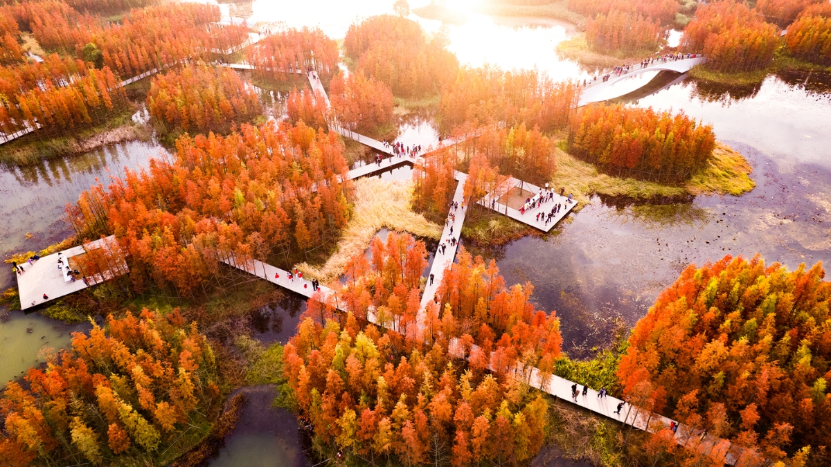 Fish Tail Park in Nanchang, Jiangxi Province, China within the Yangtze River floodplain. Kongjian Yu /Turenscape