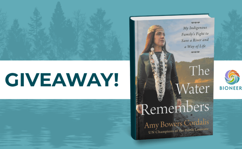 Book Giveaway: The Water Remembers by Amy Bowers Cordalis