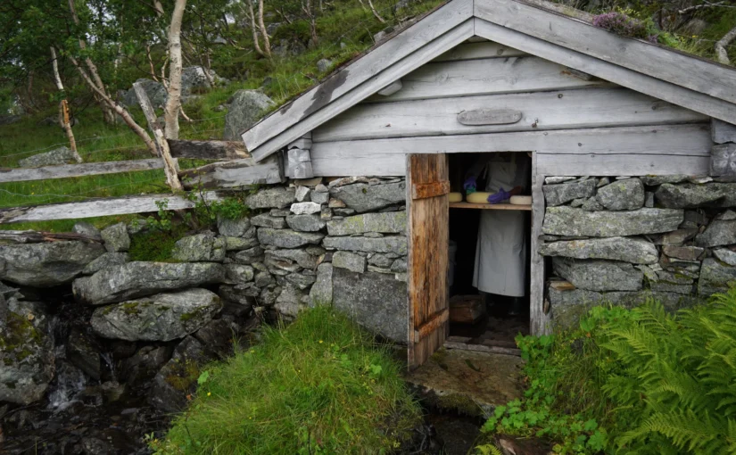 Cheese Trekking: How Microbes, Landscapes, Livestock, and Human Cultures Shape Terroir