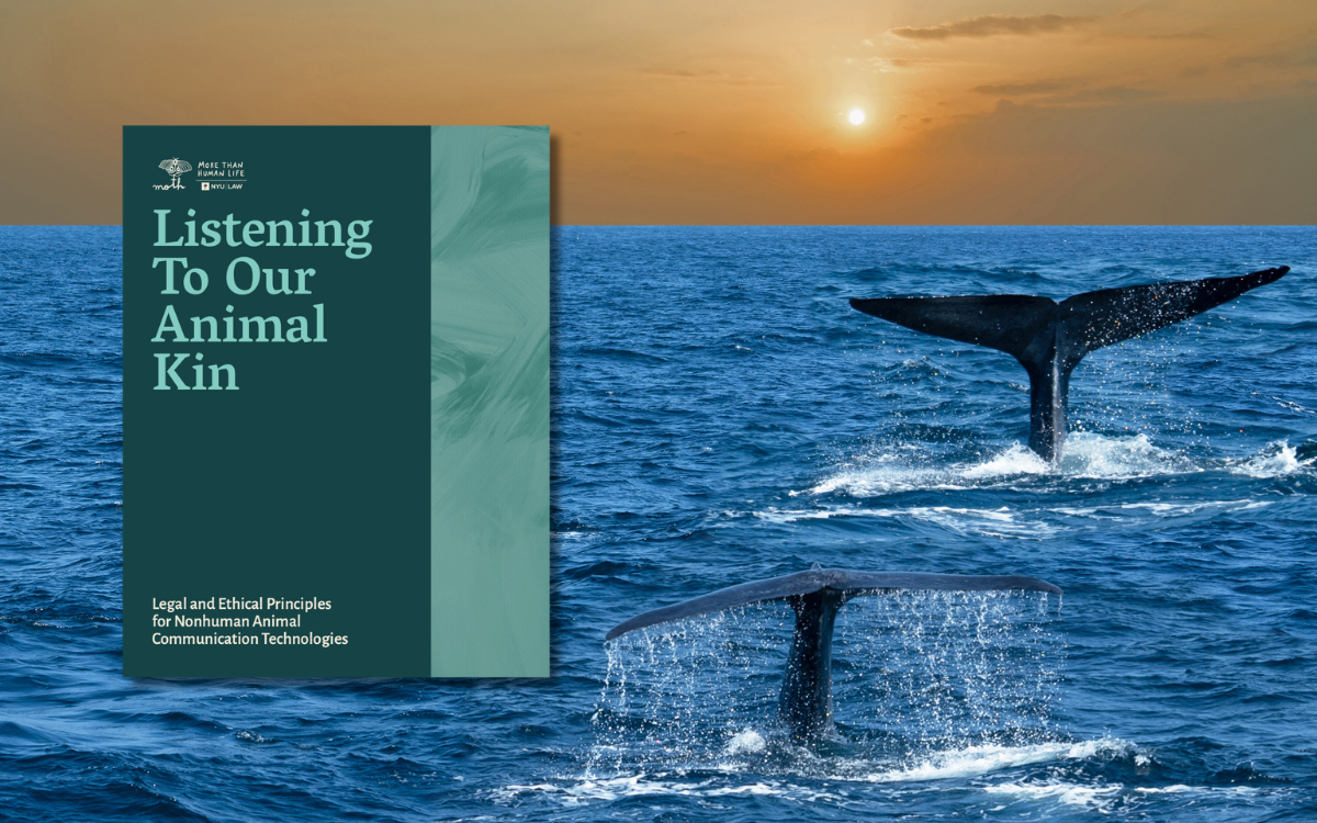 Listening Is Not Neutral: New Ethical Guardrails for Animal Communication Technologies