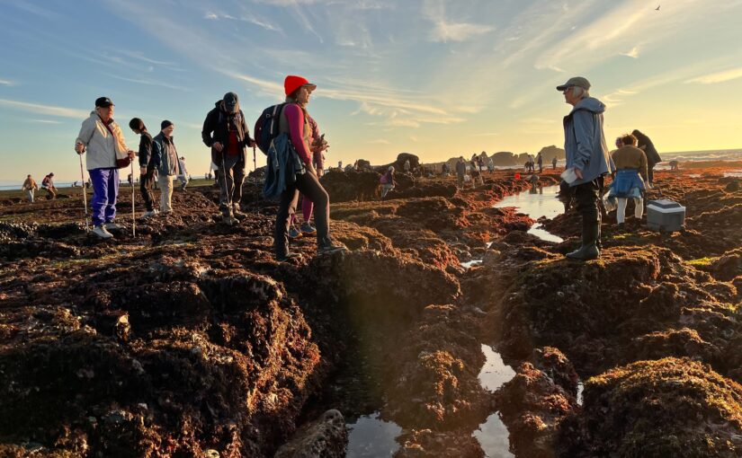 Beyond the Page: How Bay Nature Connects People to Place