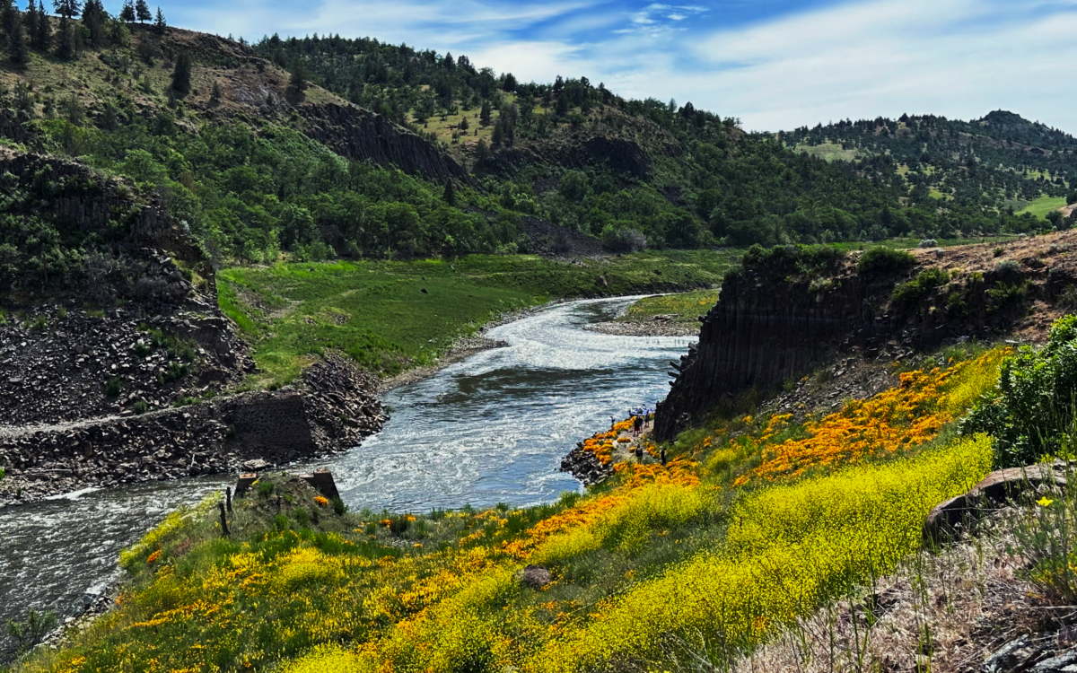 Reconnecting the River