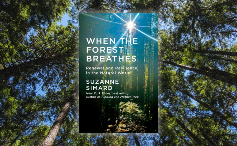When the Forest Breathes: Suzanne Simard on Regeneration and Relationship