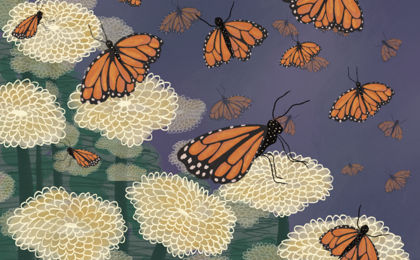 Interview with Cristina Jiménez Moreta