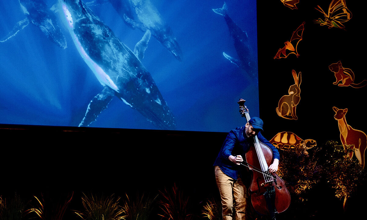 Performance by Garth Stevenson