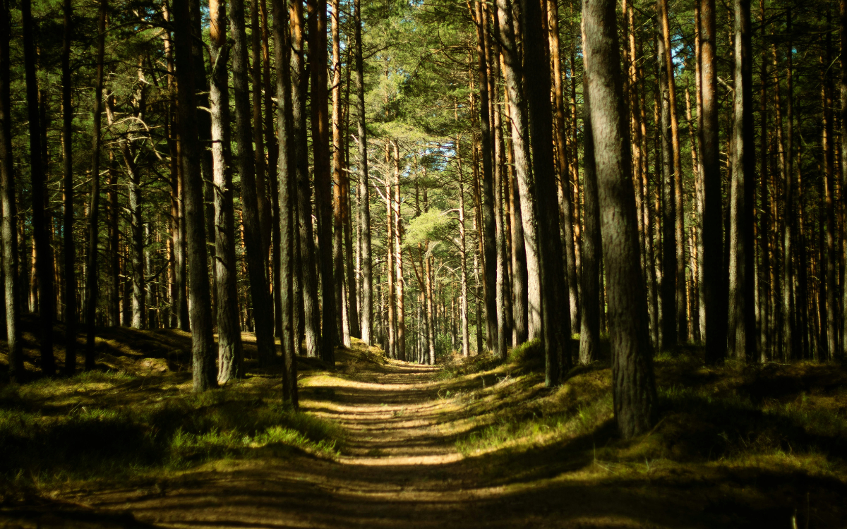 5 Ideas That Challenge the Way We Think About Nature