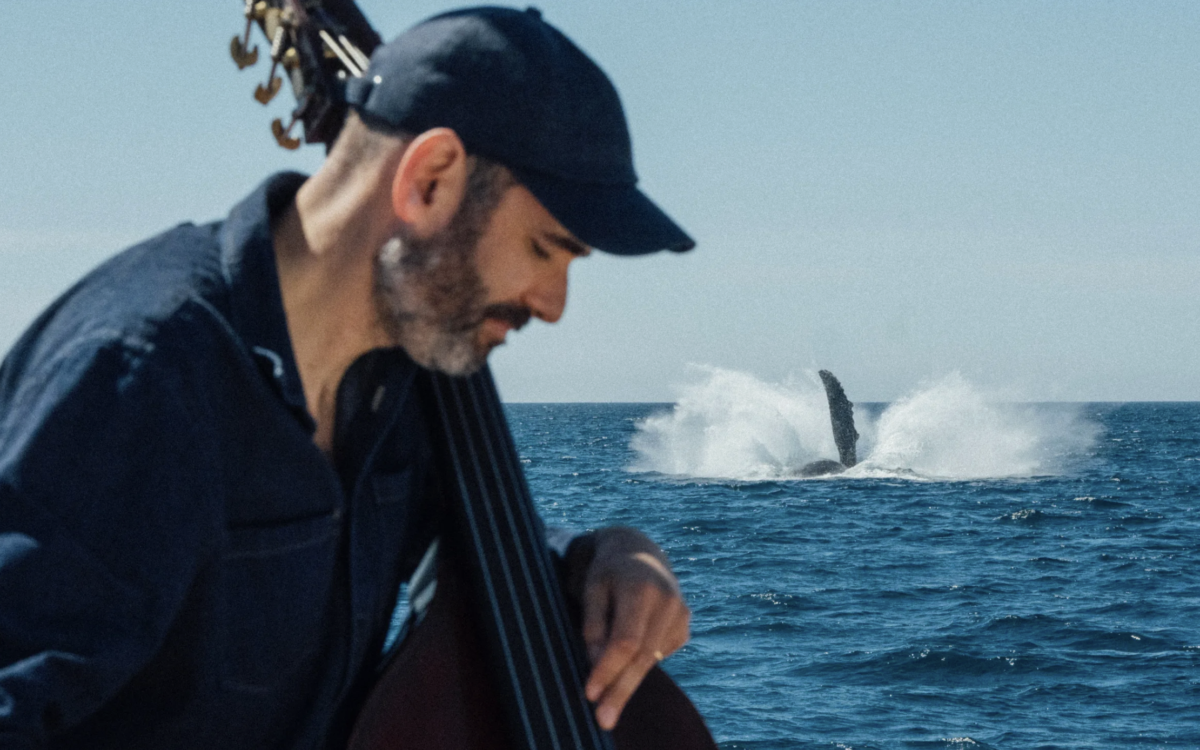 A Double Bass, a Hydrophone, and a Conversation With Whales